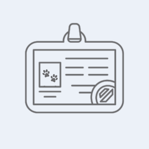 Идентификация