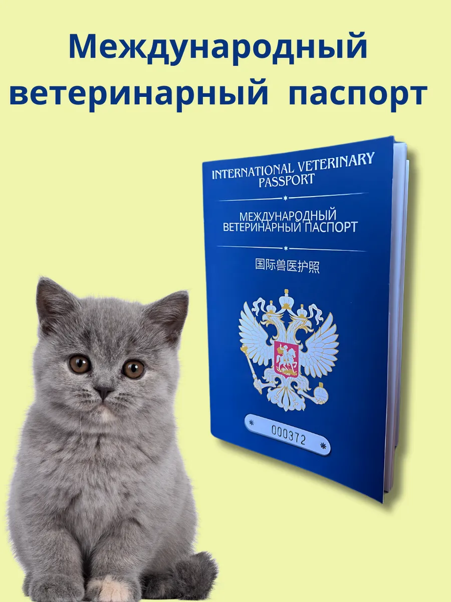 Международный вет паспорт — изображение 2