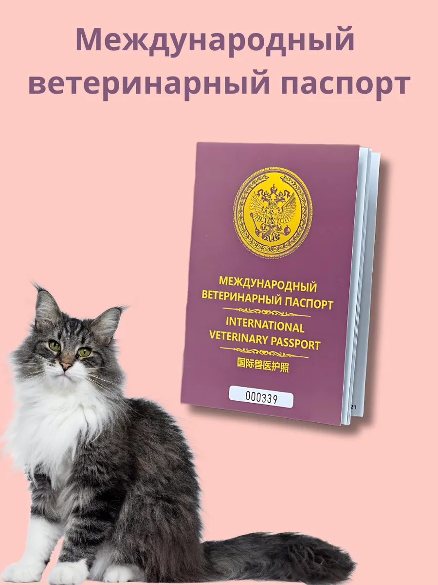 Ветеринарный паспорт — изображение 2