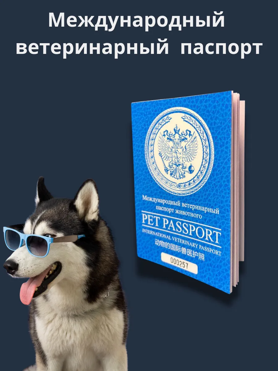 Международный ветеринарный паспорт — изображение 2