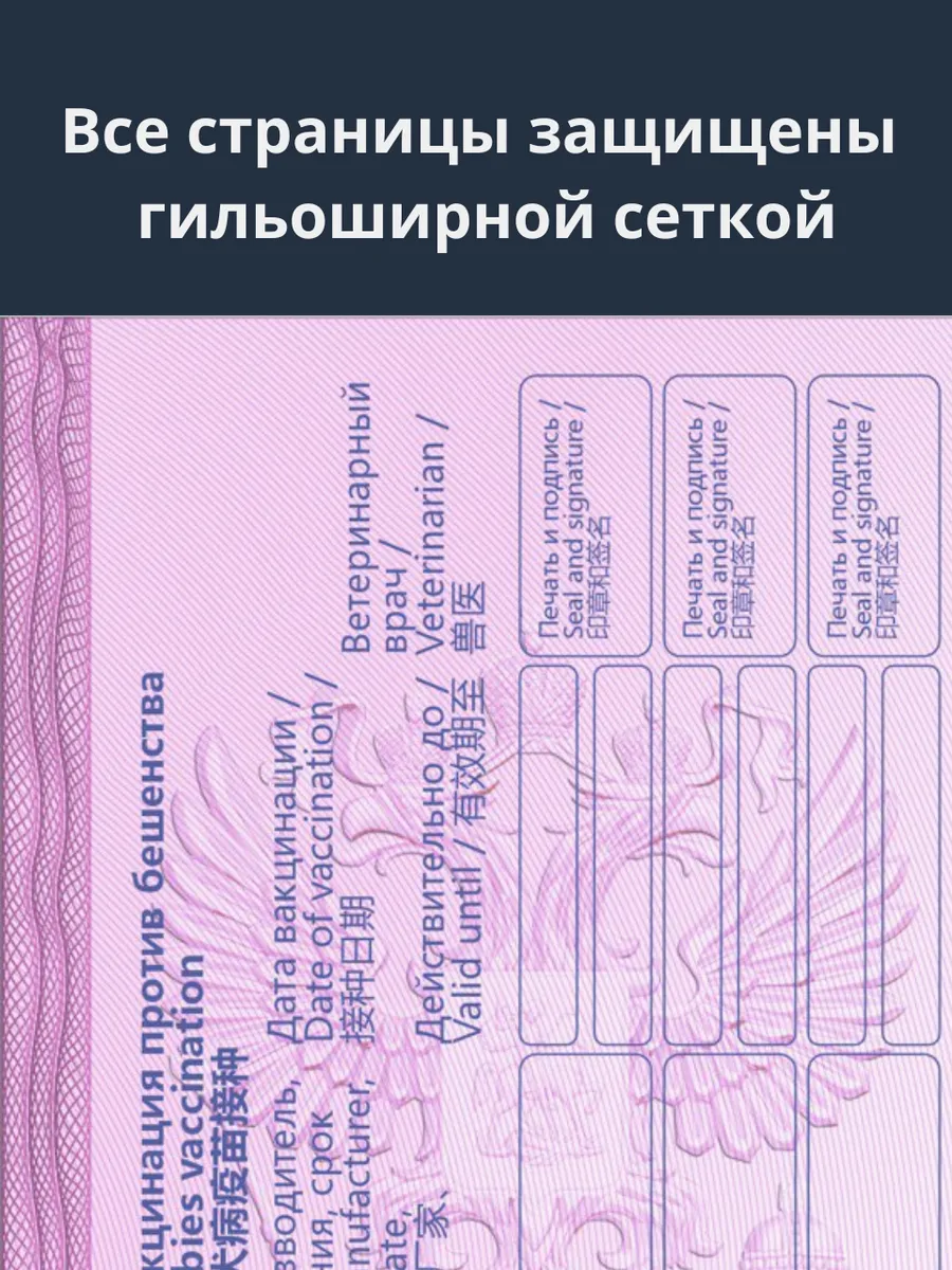 Международный ветеринарный паспорт — изображение 4