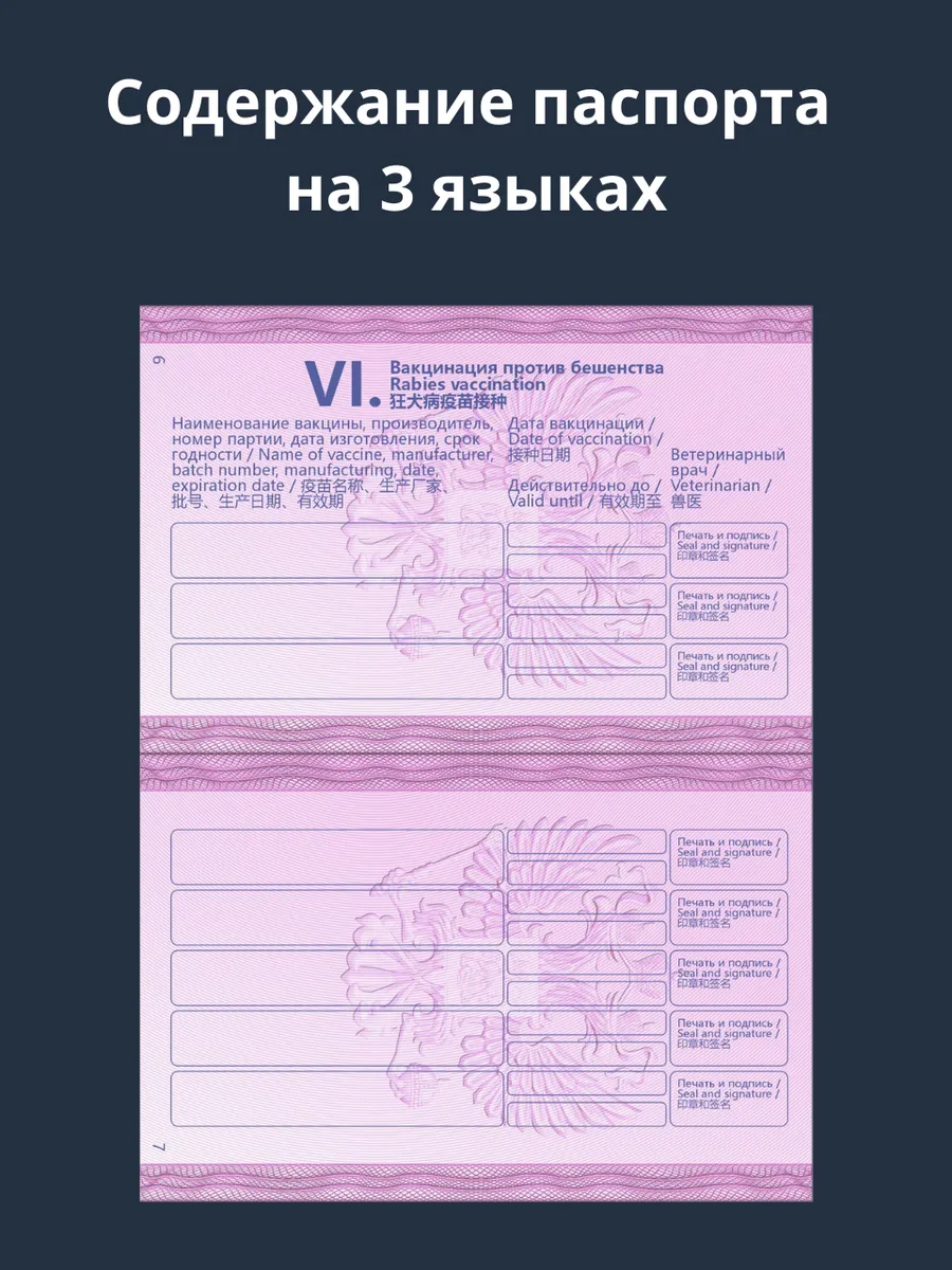 Международный ветеринарный паспорт — изображение 5