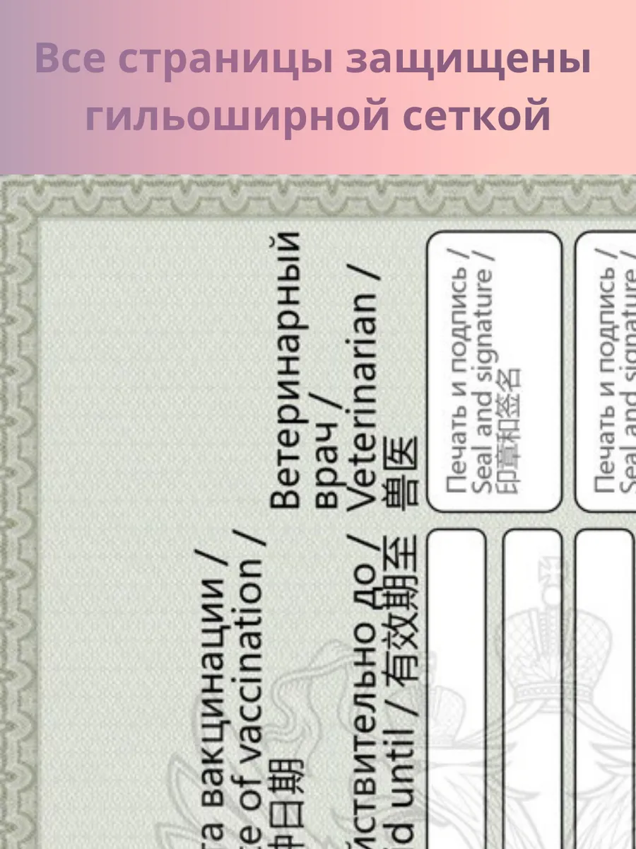 Ветеринарный паспорт + микрочип — изображение 6