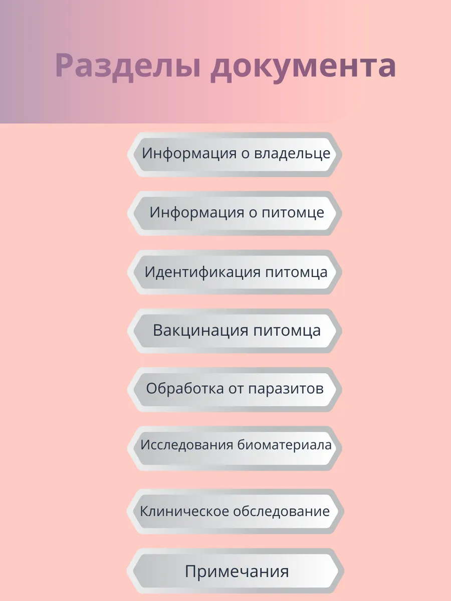 Ветеринарный паспорт + микрочип — изображение 7