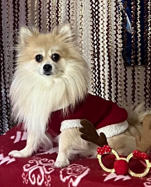 Изображение WhatsApp 2025 08 04 в 23.15.35 49ba708e