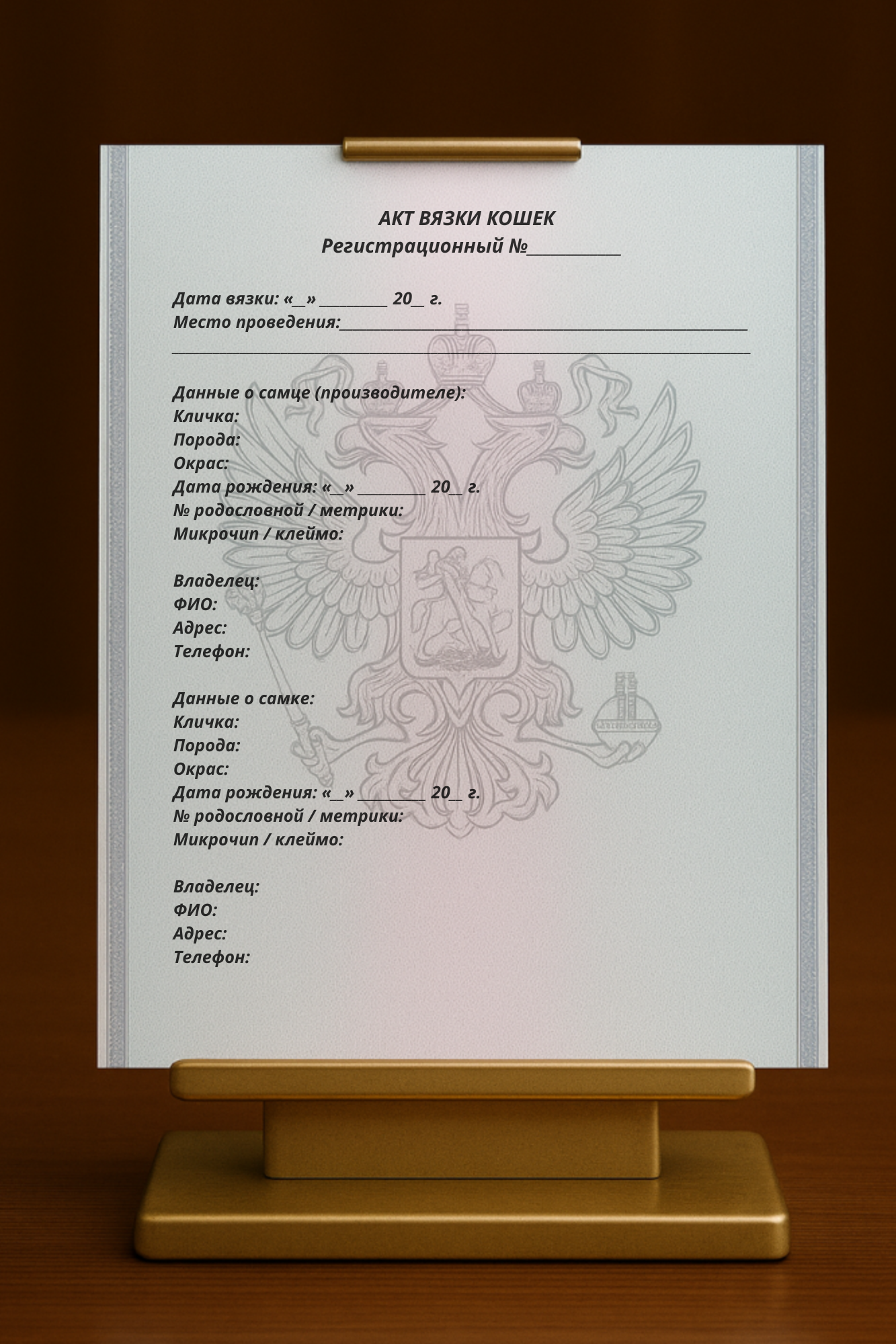 Акт вязки кошки