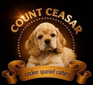 Count Caesar