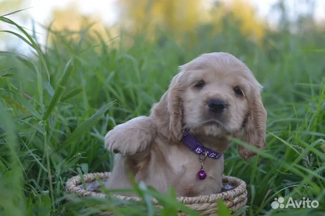 1.cBz3Jra43PXBjx7wm2t RZ H3vNJh179gYLe90eP1P9B