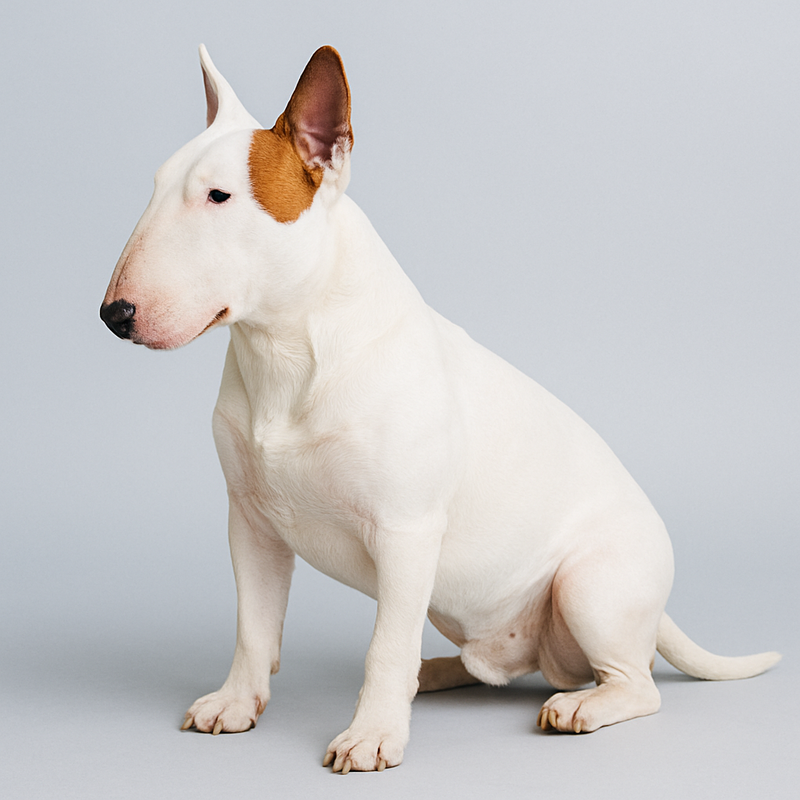 изображение 2025 11 03 141413340