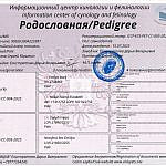 Родословная