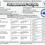 Родословная