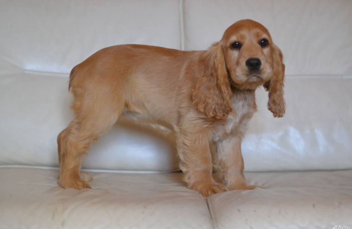 photo 2025 12 06 11 54 30