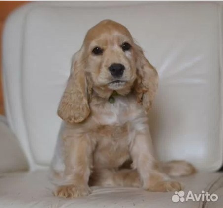 Скриншот 20260123 133101